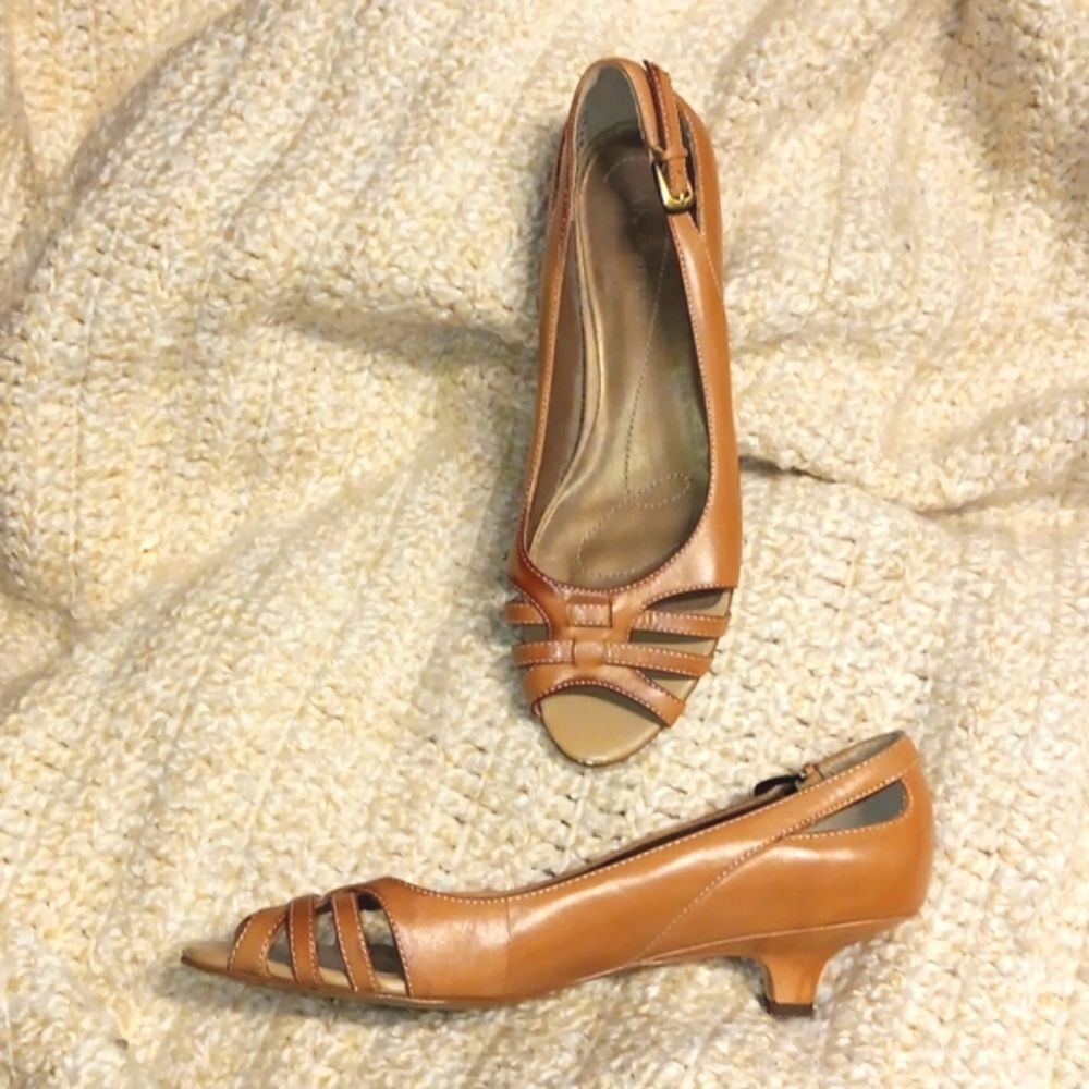 AK Ann Klein Mainez Kitten Heel Leather Pumps